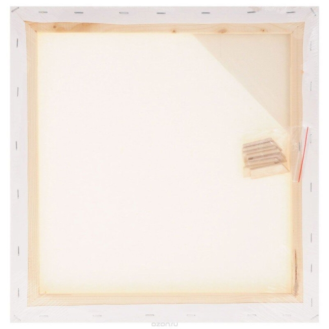 Холст на подрамнике грунтованный Малевичъ 50х50 см / среднее зерно / 100% хлопок купить в художественном магазине ArtCraft.Space с доставкой по всему миру