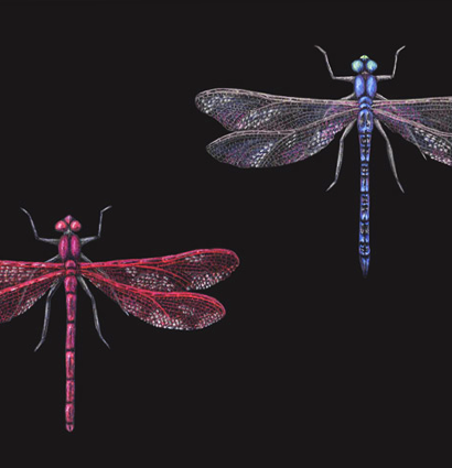 Набор цветных карандашей с цветом металлик Derwent Metallic 6 штук в фирменном блистере купить в художественном магазине ArtCraft.Space с доставкой по РФ и СНГ