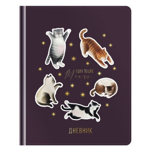 Дневник 1-11 кл. 48л. ЛАЙТ Greenwich Line "I say meow", иск. кожа, аппликация, тиснение фольгой, тон. блок, ляссе