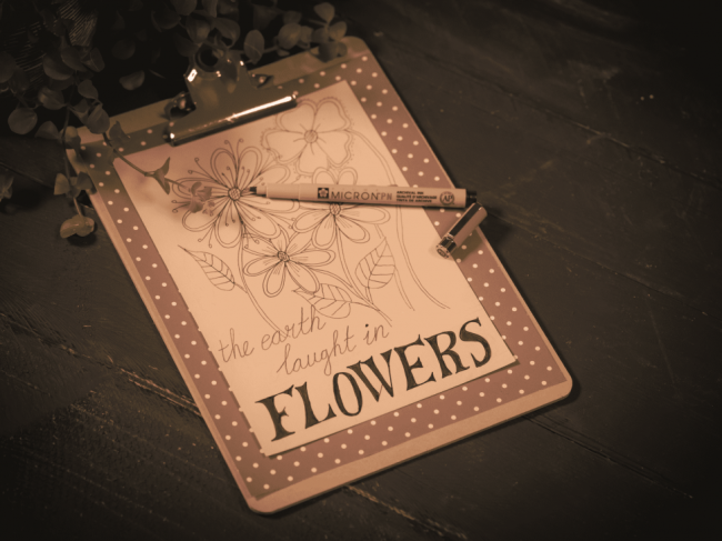 Набор капиллярных ручек Sakura Pigma Micron PN черные 2 штуки купить в магазине ArtCraft.Space