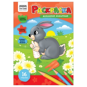 Раскраска А4 ТРИ СОВЫ "Домашние животные", 16стр. Раскраска А4 ТРИ СОВЫ "Домашние животные", 16стр.