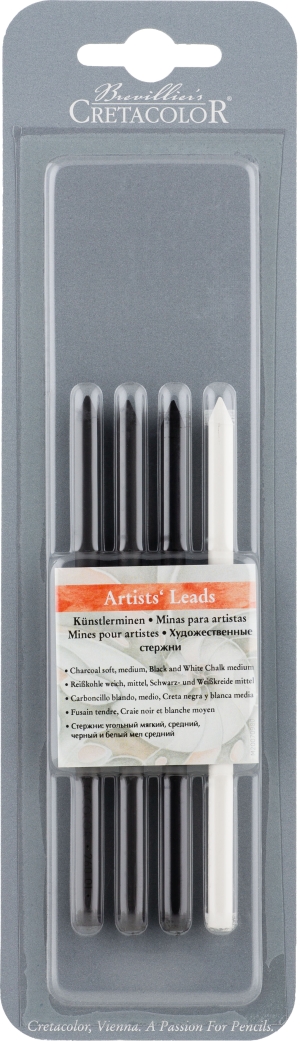 Набор художественных стержней в блистере, состав: угольный мягкий, угольный средний, черный мел средний, белый мел средний