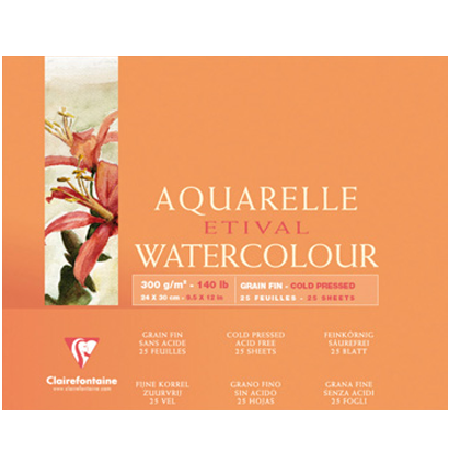 Бумага для акварели Etival ClaireFontaine торшон пачка 50х65 см / 25 листов / 300 гм купить в художественном магазине ArtCraft.Space