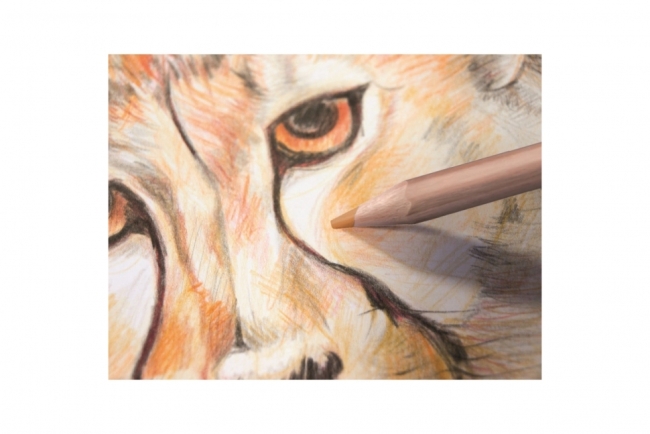 Набор цветных карандашей MILAN 36 цветов  деревянные грифель 3.5мм в металлической упаковке с европодвесом (ECO)