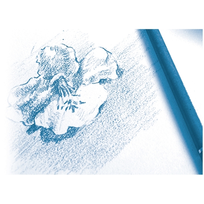 Скетчбук 30л. А5 на склейке Clairefontaine "Dessin a grain", 180г/м2, мелкозернистая