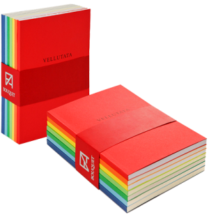 Набор блокнотов для зарисовок Bouquet 100г/м.кв 10x14см мелкозернистая 7 цветов 40л ,